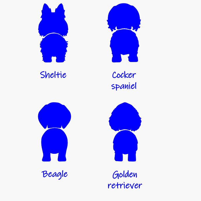 Kapstok voor hondenriem met naam