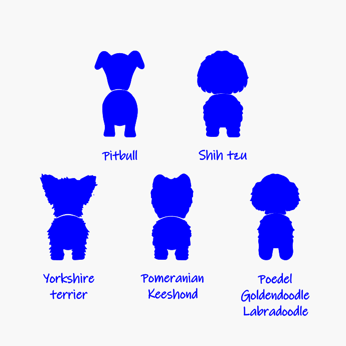 Kapstok voor hondenriem met naam