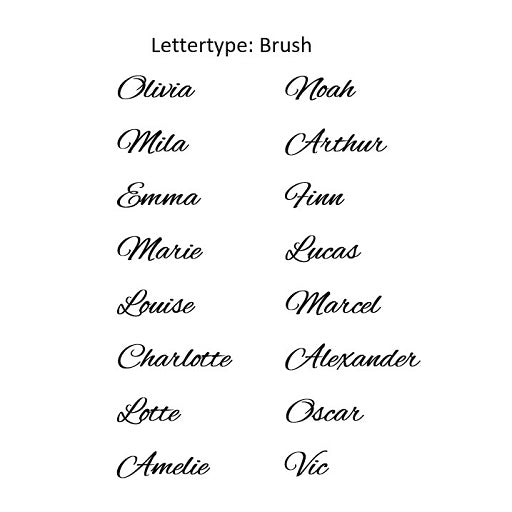 Naamhoepel "Brush"
