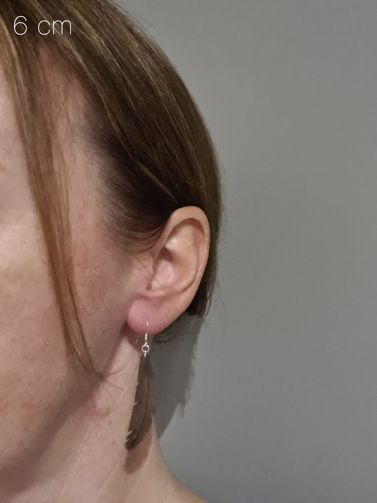 Houten gesloten veertjes