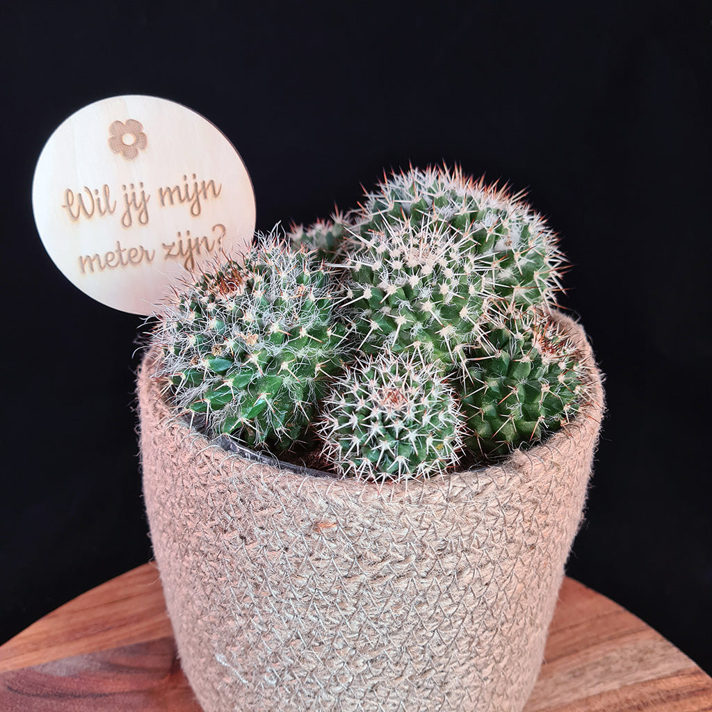 Plantenprikker "Meter of peter" - rond