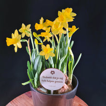 Afbeelding in Gallery-weergave laden, Plantenprikker met naam
