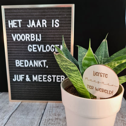 Plantenprikker "Meester of juf"